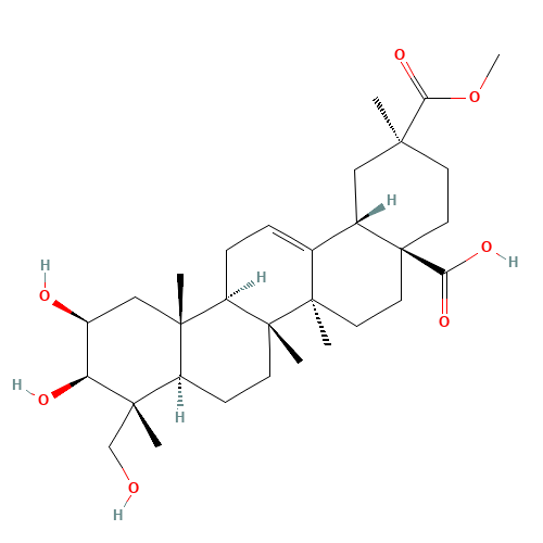 Phytolaccagenin (CAS: 1802-12-6) - Related Chemical Product