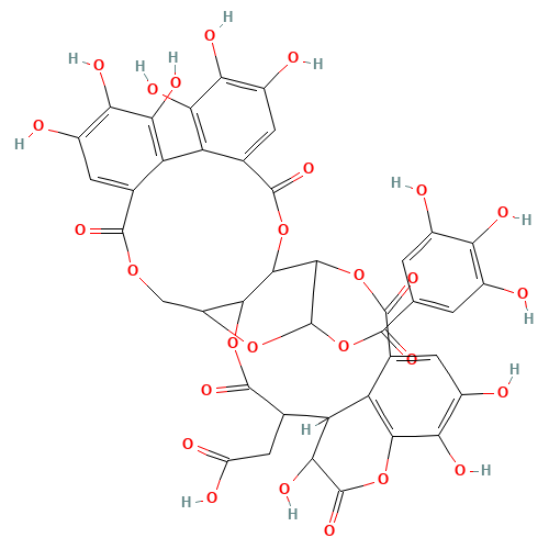 Chebulagic acid (CAS: 23094-71-5) - Related Chemical Product