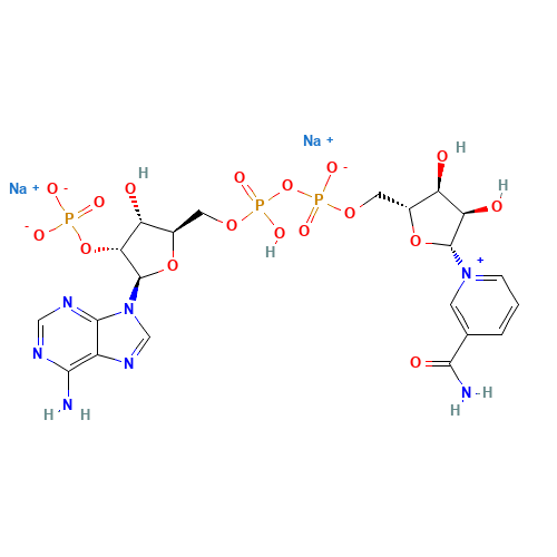 NADP (CAS: 24292-60-2) - Related Chemical Product
