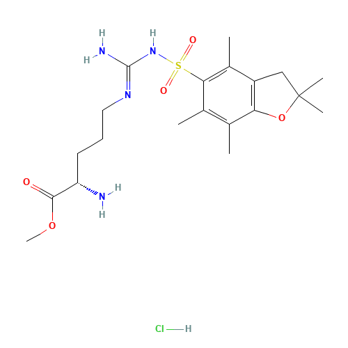 H-ARG -OMEHCL (CAS: 257288-19-0) - Related Chemical Product