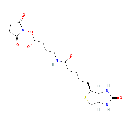 2,5-Dioxopyrrolidin-1-yl 4-(5-((3aS,4S,6aR)-2-oxohexahydro-1H-thieno[3,4-d]imidazol-4-yl)pentanamido)butanoate (CAS: 258289-54-2) - Related Chemical Product