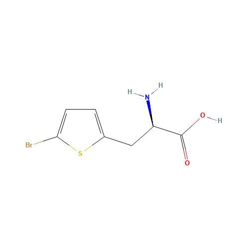(R)-2-Amino-3-(5-bromothiophen-2-yl)propanoic acid (CAS: 264903-54-0) - Related Chemical Product
