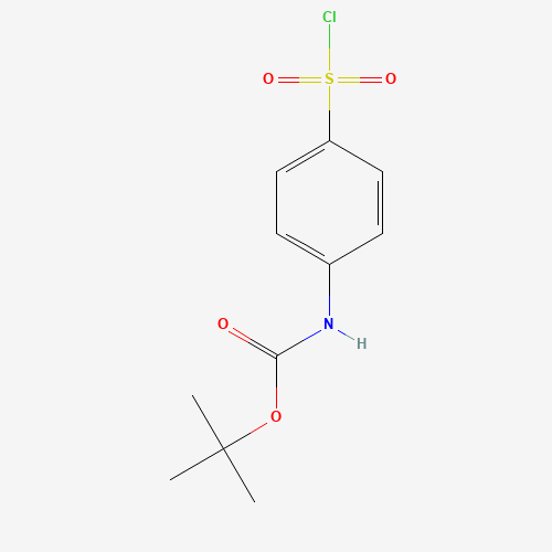 tert-Butyl (4-(chlorosulfonyl)phenyl)carbamate (CAS: 269747-25-3) - Related Chemical Product