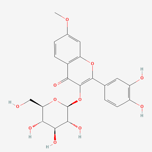 Rhamnetin 3-glucoside (CAS: 27875-34-9) - Related Chemical Product