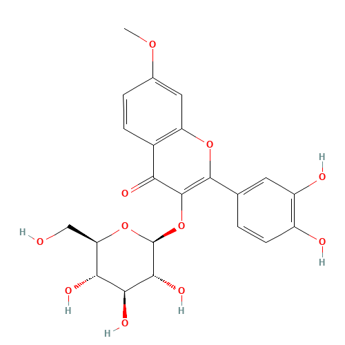 Rhamnetin 3-glucoside (CAS: 27875-34-9) - Related Chemical Product
