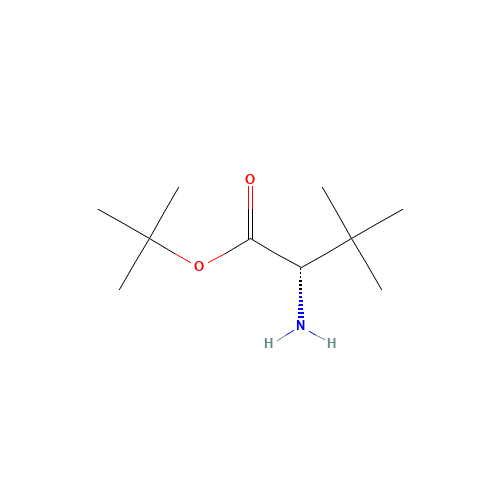 H-TBU-GLY-OTBU HCL (CAS: 31556-74-8) - Related Chemical Product