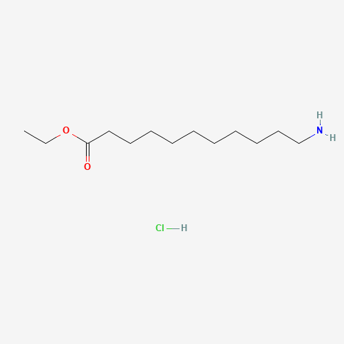 Undecanoic acid, 11-amino-, ethyl ester, hydrochloride (CAS: 3350-21-8) - Related Chemical Product