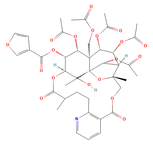 Wilforgine (CAS: 37239-47-7) - Related Chemical Product