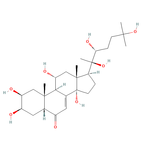 Turkesterone (CAS: 41451-87-0) - Related Chemical Product