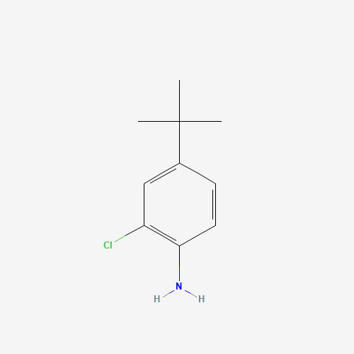 4-(Tert-Butyl)-2-Chloroaniline (CAS: 42265-67-8) - Chemical Structure and Molecular Formula 