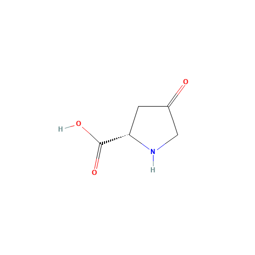 4-Oxo-L-proline (CAS: 4347-18-6) - Related Chemical Product
