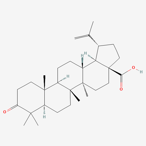 3-Oxolup-20(29)-en-28-oic acid (CAS: 4481-62-3) - Related Chemical Product