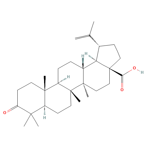3-Oxolup-20(29)-en-28-oic acid (CAS: 4481-62-3) - Related Chemical Product