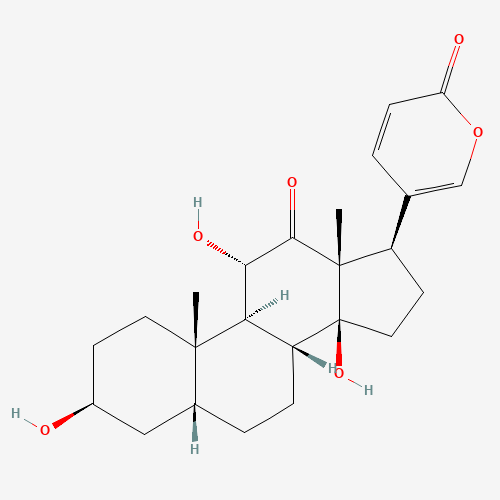 Arenobufagin (CAS: 464-74-4) - Related Chemical Product