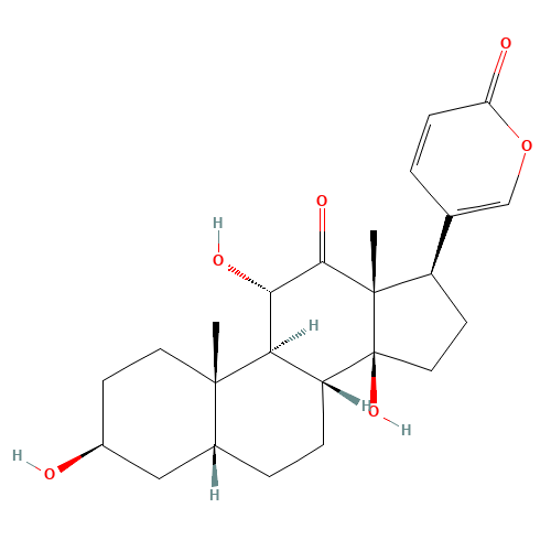Arenobufagin (CAS: 464-74-4) - Related Chemical Product