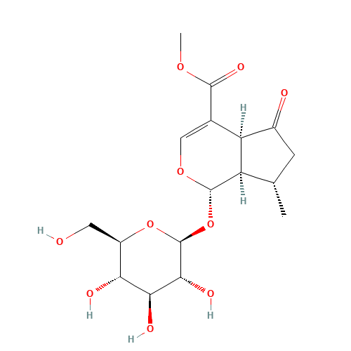 Verbenalin (CAS: 548-37-8) - Related Chemical Product