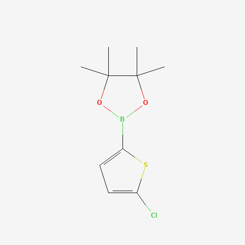 2-(5-chlorothiophen-2-yl)-4,4,5,5-tetramethyl-1,3,2-dioxaborolane (CAS: 635305-24-7) - Related Chemical Product