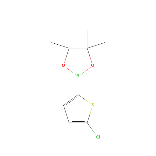 2-(5-chlorothiophen-2-yl)-4,4,5,5-tetramethyl-1,3,2-dioxaborolane (CAS: 635305-24-7) - Related Chemical Product