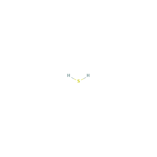 hydrogen sulfide (CAS: 63705-05-5) - Related Chemical Product