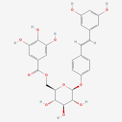Resveratrol 4'-(6"-galloylglucoside) (CAS: 64898-03-9) - Related Chemical Product