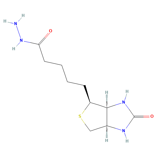 Biotin Hydrazide (CAS: 66640-86-6) - Chemical Structure and Molecular Formula 
