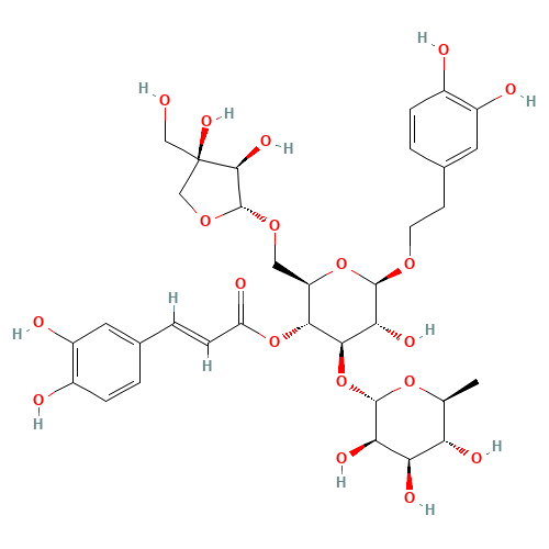 Forsythoside B (CAS: 81525-13-5) - Related Chemical Product