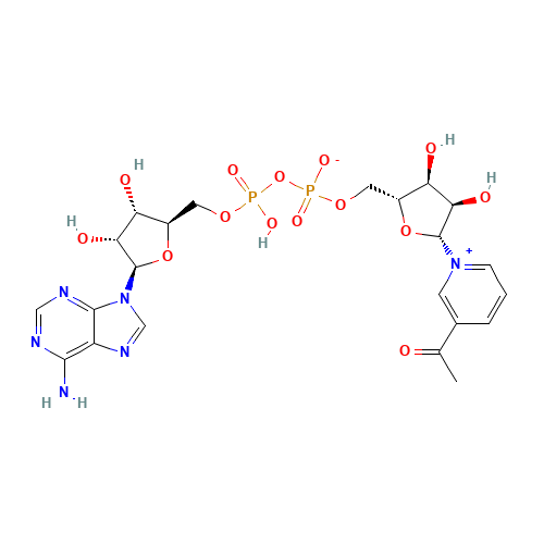 3-acetylpyridine adenine dinucleotide (CAS: 86-08-8) - Related Chemical Product