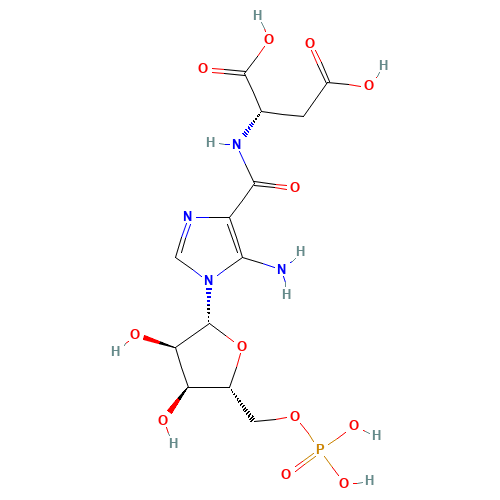 (2S)-2-[[5-amino-1-[(2R,3R,4S,5R)-3,4-dihydroxy-5-(phosphonooxymethyl)oxolan-2-yl]imidazole-4-carbonyl]amino]butanedioic acid (CAS: 3031-95-6) - Related Chemical Product