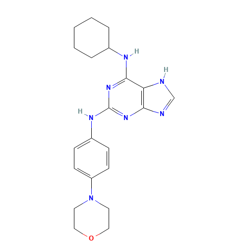 6-N-cyclohexyl-2-N-(4-morpholin-4-ylphenyl)-7H-purine-2,6-diamine (CAS: 656820-32-5) - Related Chemical Product