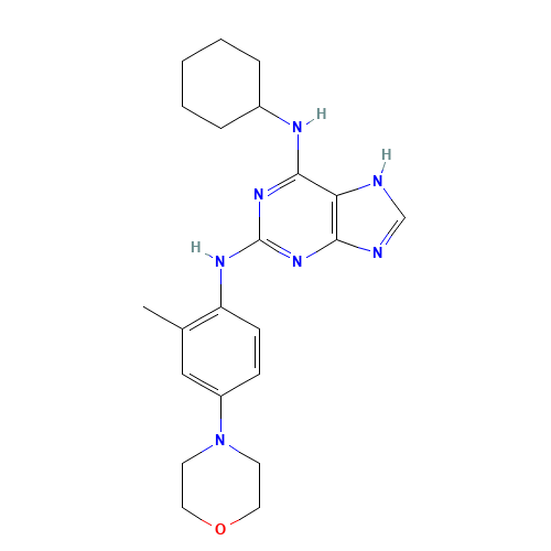 6-N-cyclohexyl-2-N-(2-methyl-4-morpholin-4-ylphenyl)-7H-purine-2,6-diamine (CAS: 1246529-32-7) - Related Chemical Product