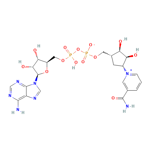 [[5-(6-aminopurin-9-yl)-3,4-dihydroxyoxolan-2-yl]methoxy-hydroxyphosphoryl] [4-(3-carbamoylpyridin-1-ium-1-yl)-2,3-dihydroxycyclopentyl]methyl phosphate (CAS: 112345-60-5) - Related Chemical Product