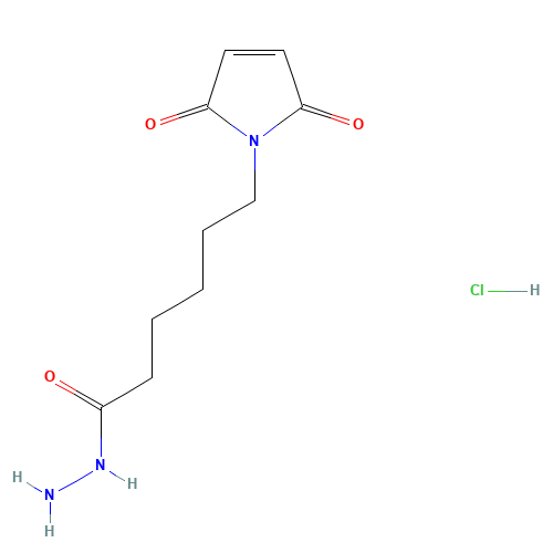 6-(2,5-dioxopyrrol-1-yl)hexanehydrazide hydrochloride (CAS: 175290-73-0) - Related Chemical Product