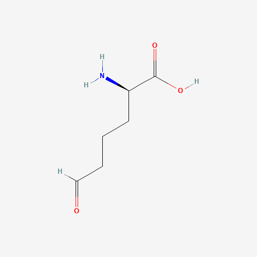alpha-Aminoadipic semialdehyde (CAS: 34897-38-6) - Related Chemical Product