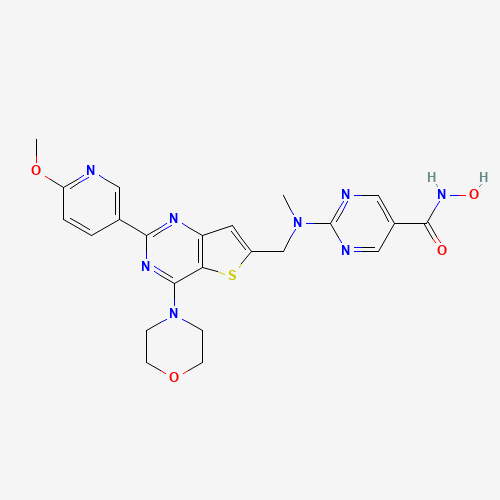 N-hydroxy-2-[[2-(6-methoxypyridin-3-yl)-4-morpholin-4-ylthieno[3,2-d]pyrimidin-6-yl]methyl-methylamino]pyrimidine-5-carboxamide (CAS: 1339928-25-4) - Related Chemical Product