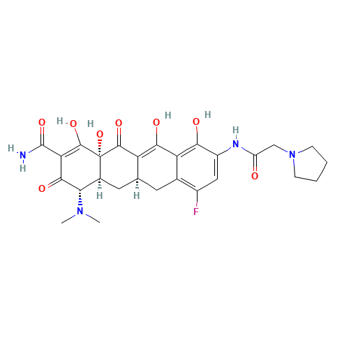 (4S,4aS,5aR,12aR)-4-(dimethylamino)-7-fluoro-1,10,11,12a-tetrahydroxy-3,12-dioxo-9-[(2-pyrrolidin-1-ylacetyl)amino]-4a,5,5a,6-tetrahydro-4H-tetracene-2-carboxamide (CAS: 1207283-85-9) - Related Chemical Product