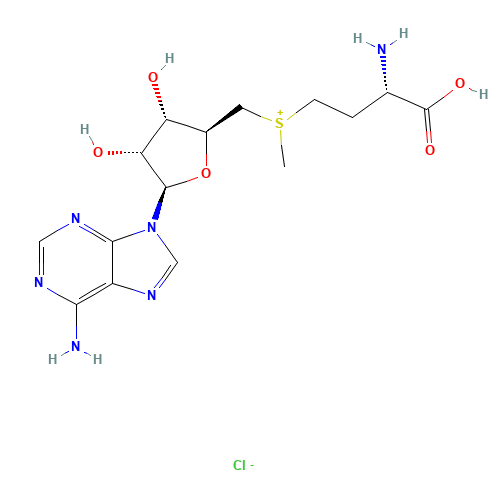 S-(5'-Adenosyl)-L-Methionine Chloride (CAS: 24346-00-7) - Related Chemical Product
