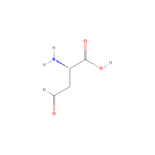 L-aspartate 4-semialdehyde (CAS: 2338-03-6) - Chemical Structure and Molecular Formula 