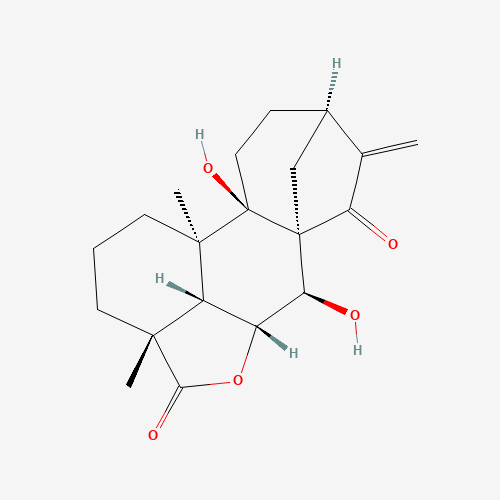 ent-7α,9-Dihydroxy- 15-oxokaur-16-en-19,6β-olide (CAS: 59885-89-1) - Related Chemical Product