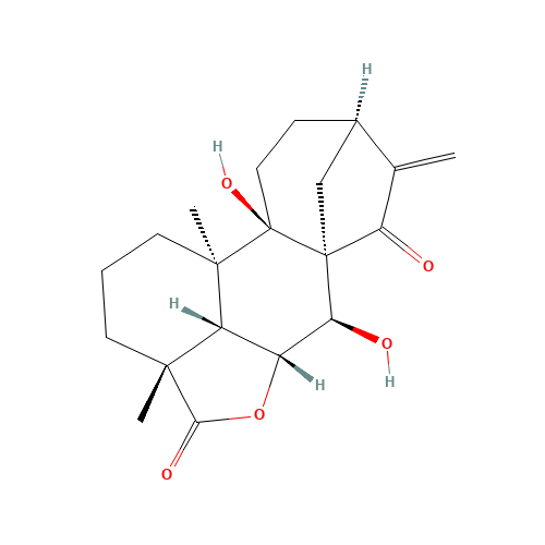 ent-7α,9-Dihydroxy- 15-oxokaur-16-en-19,6β-olide (CAS: 59885-89-1) - Related Chemical Product