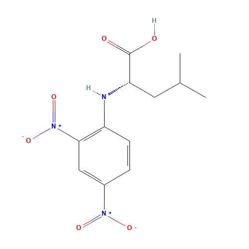 N-(2,4-Dinitrophenyl)-L-leucine (CAS: 1655-57-8) - Related Chemical Product