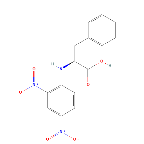N-(2,4-Dinitrophenyl)-L-phenylalanine (CAS: 1655-54-5) - Related Chemical Product