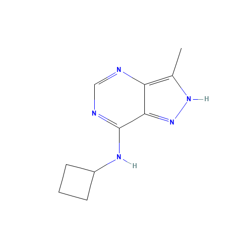 N-cyclobutyl-3-methyl-2H-pyrazolo[4,3-d]pyrimidin-7-amine (CAS: 790666-34-1) - Chemical Structure and Molecular Formula 