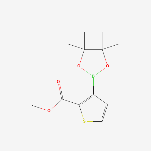 methyl 3-(4,4,5,5-tetramethyl-1,3,2-dioxaborolan-2-yl)thiophene-2-carboxylate (CAS: 1227664-10-9) - Related Chemical Product