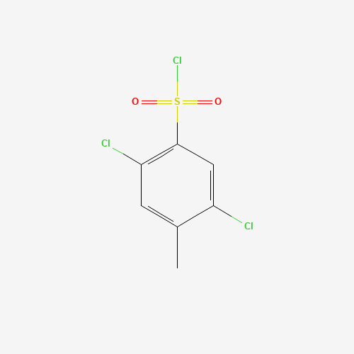 2,5-dichloro-4-methylbenzenesulfonyl chloride (CAS: 473477-22-4) - Related Chemical Product