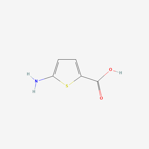5-aminothiophene-2-carboxylic acid (CAS: 204068-72-4) - Related Chemical Product