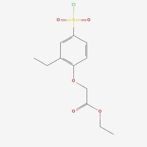ethyl 2-(4-chlorosulfonyl-2-ethylphenoxy)acetate (CAS: 444613-16-5) - Related Chemical Product
