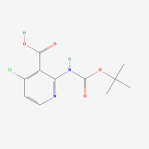 4-chloro-2-[(2-methylpropan-2-yl)oxycarbonylamino]pyridine-3-carboxylic acid (CAS: 1021339-32-1) - Related Chemical Product
