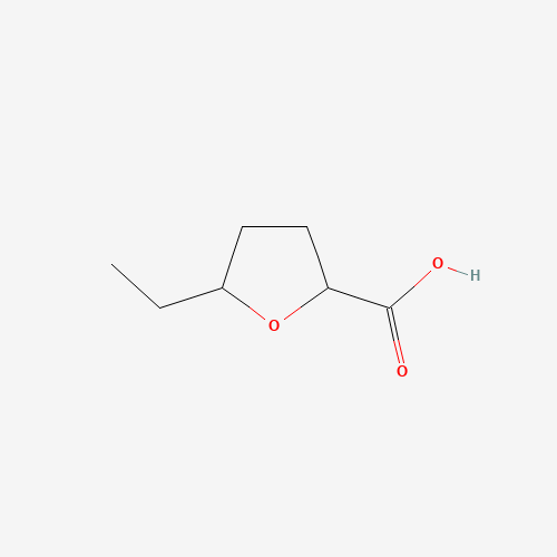 5-ethyloxolane-2-carboxylic acid (CAS: 801318-16-1) - Related Chemical Product