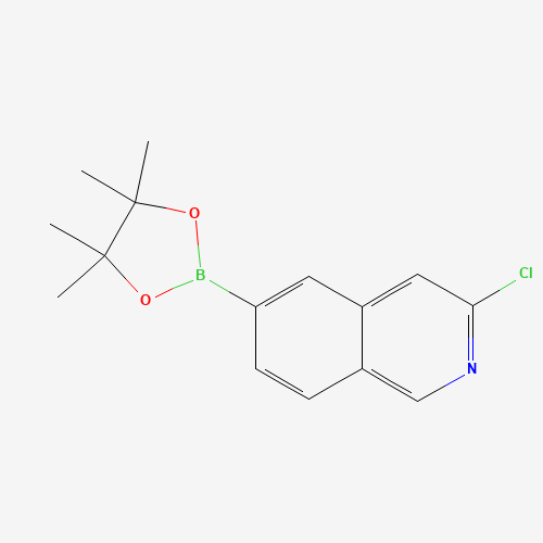 3-chloro-6-(4,4,5,5-tetramethyl-1,3,2-dioxaborolan-2-yl)isoquinoline (CAS: 1509899-50-6) - Related Chemical Product