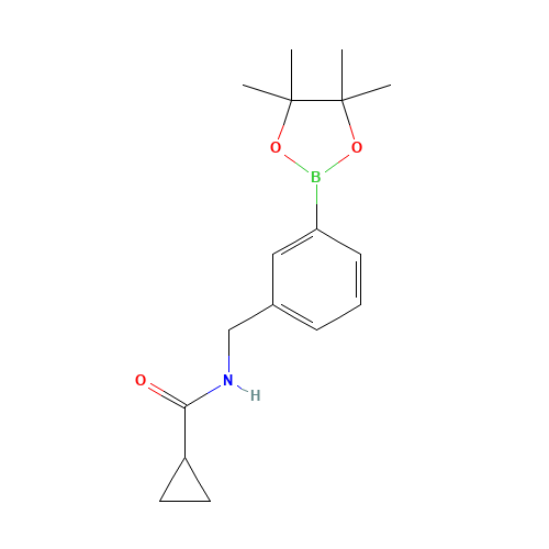 N-[[3-(4,4,5,5-tetramethyl-1,3,2-dioxaborolan-2-yl)phenyl]methyl]cyclopropanecarboxamide (CAS: 919347-88-9) - Related Chemical Product